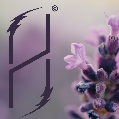 ein Fehler ist aufgetreten ☹